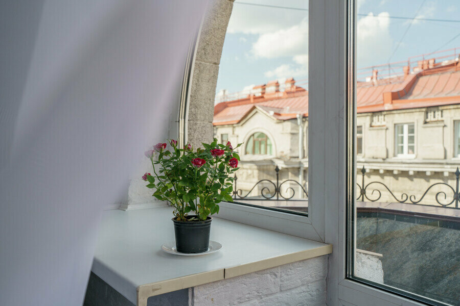 Гостевой дом Парк Лэйн Инн Санкт-Петербург
